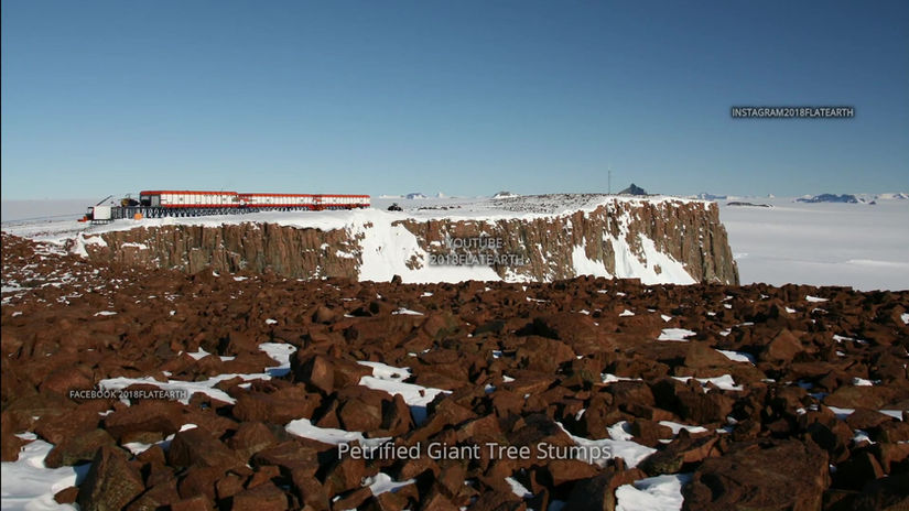Petrified Giant Tree Stumps Antarctica!  2018Flatearth  Antarctica